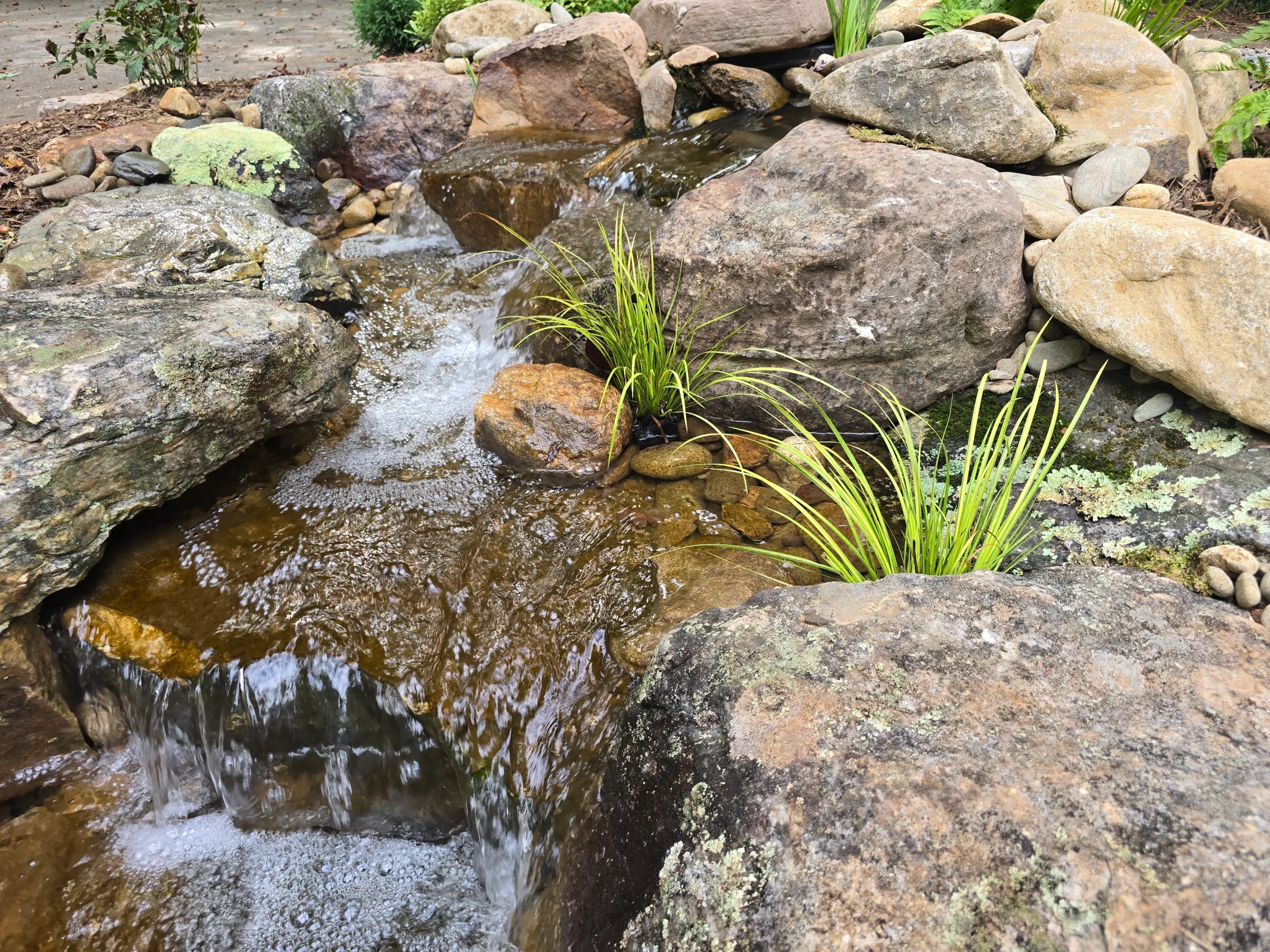 York county sc landscaper water features landscape design (37)
