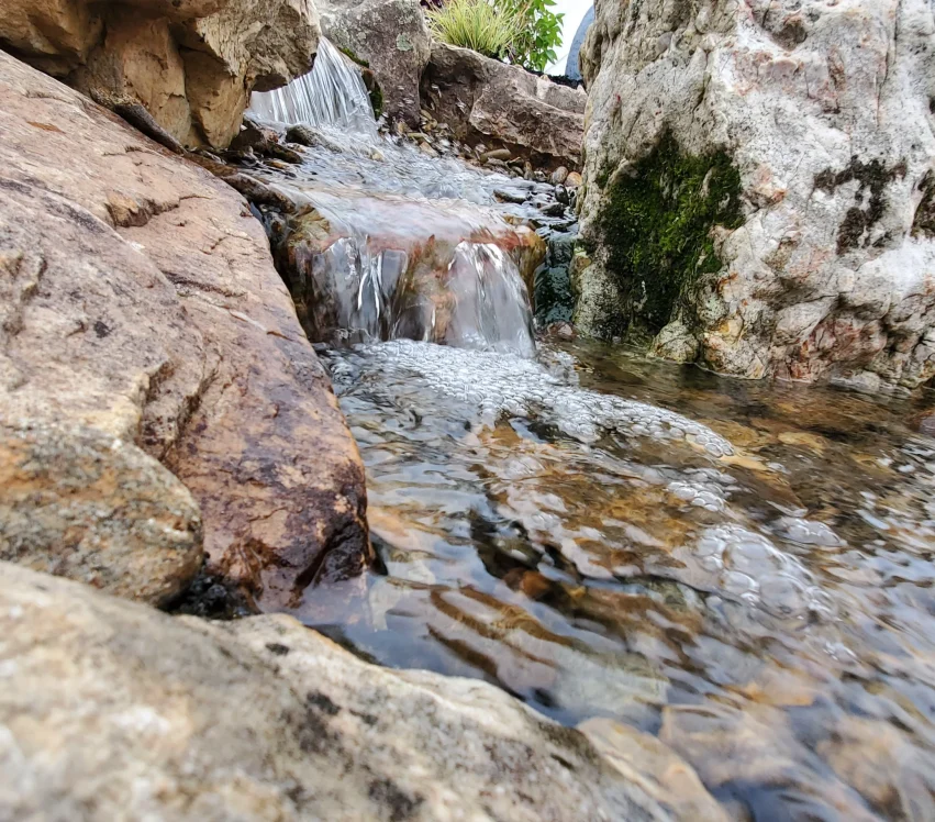 York county sc landscaper water features landscape design (67)